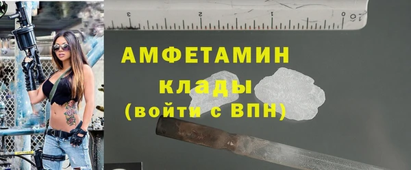 стафф Алзамай