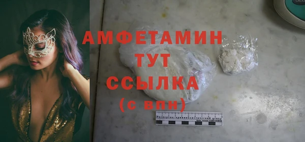 стафф Алзамай