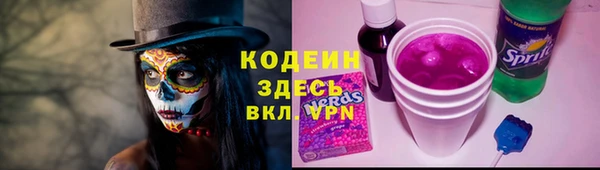 шишки Абаза