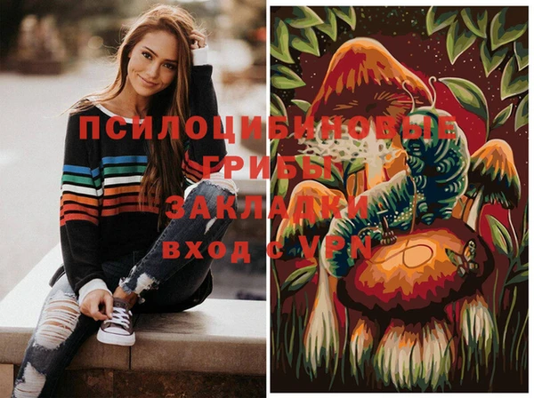 стафф Алзамай