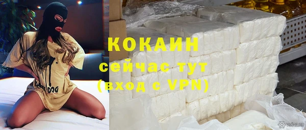 стафф Алзамай